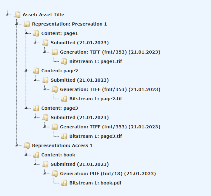 Preservica Asset